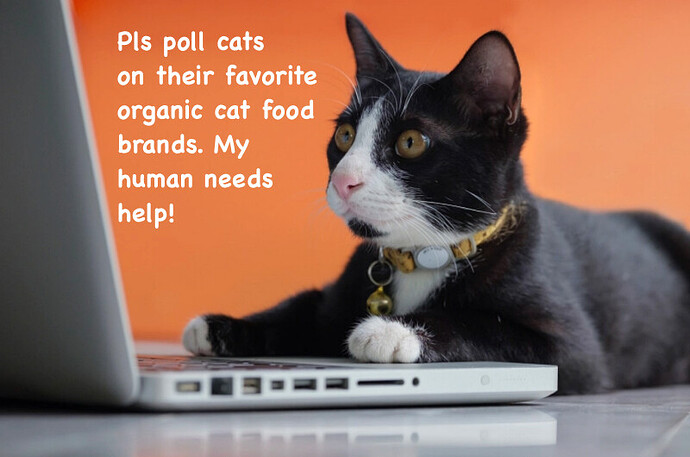 topic-RoG-feedback-cat-800x531